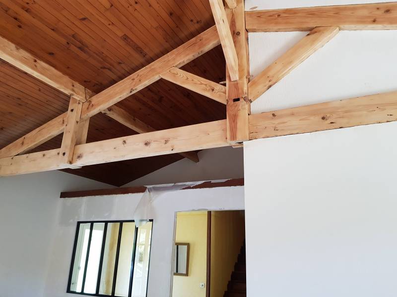 20190521135531jpg_5ce69f13a183b