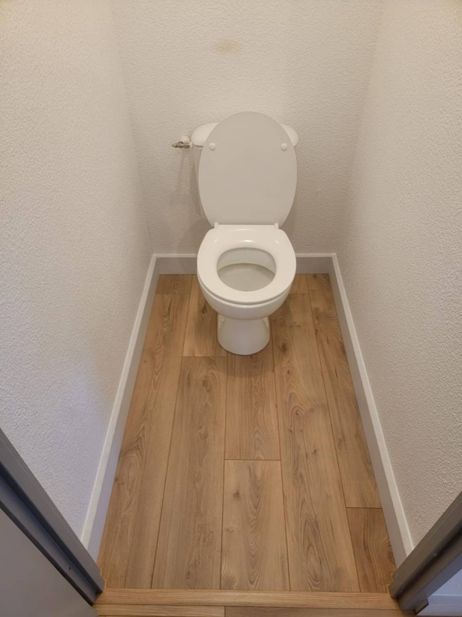 PHOTO202501291705144jpg_679b3751c6194