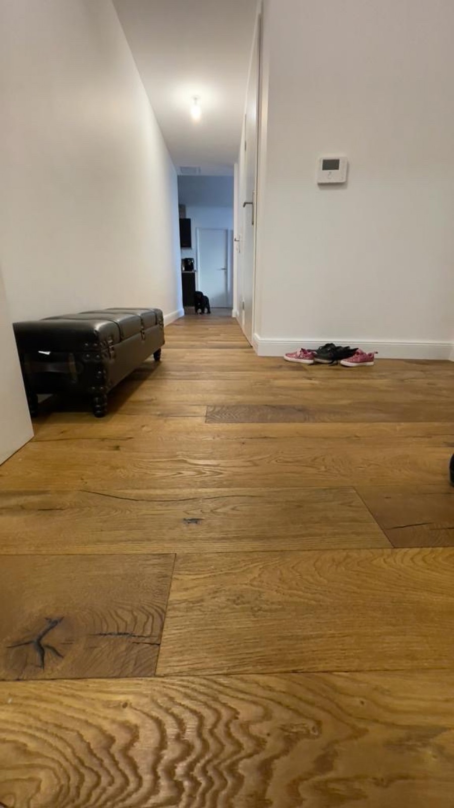 a31f62ba671b971ae1a366d2fe71182f