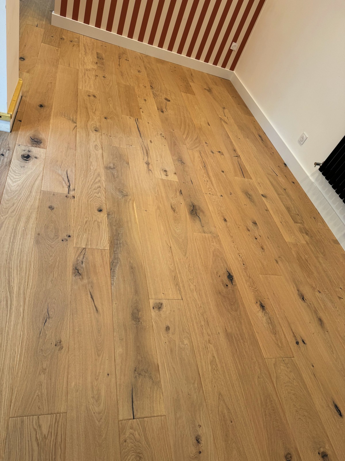 cfb6a5f580ec1b124710bb181b38d20d