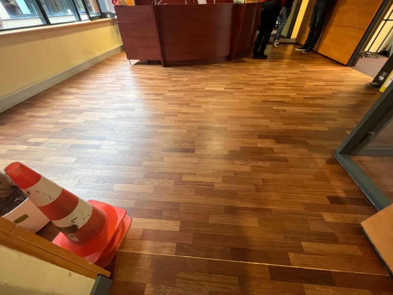 d202f2a88a2b5574f8bd31356932c874