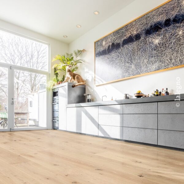 Vaste cuisine lumineuse, parquet chêne clair et comptoir gris béton. Un cougar est perché parmi les plantes près du baie vitrée.