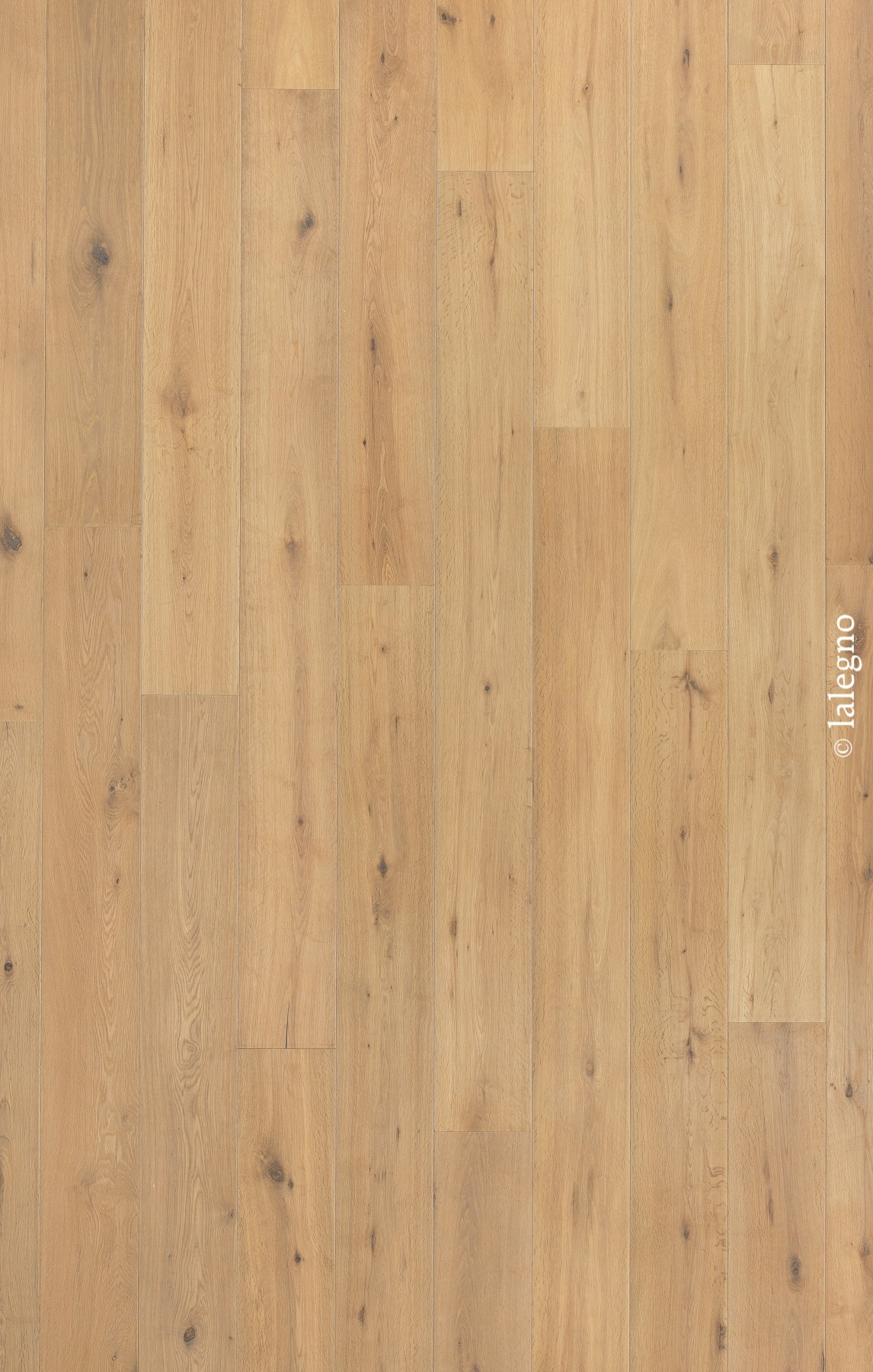 Sol en parquet de chêne clair à longues lames. Texture bois rustique avec nœuds et grain visible. Filigrane © lalegno.