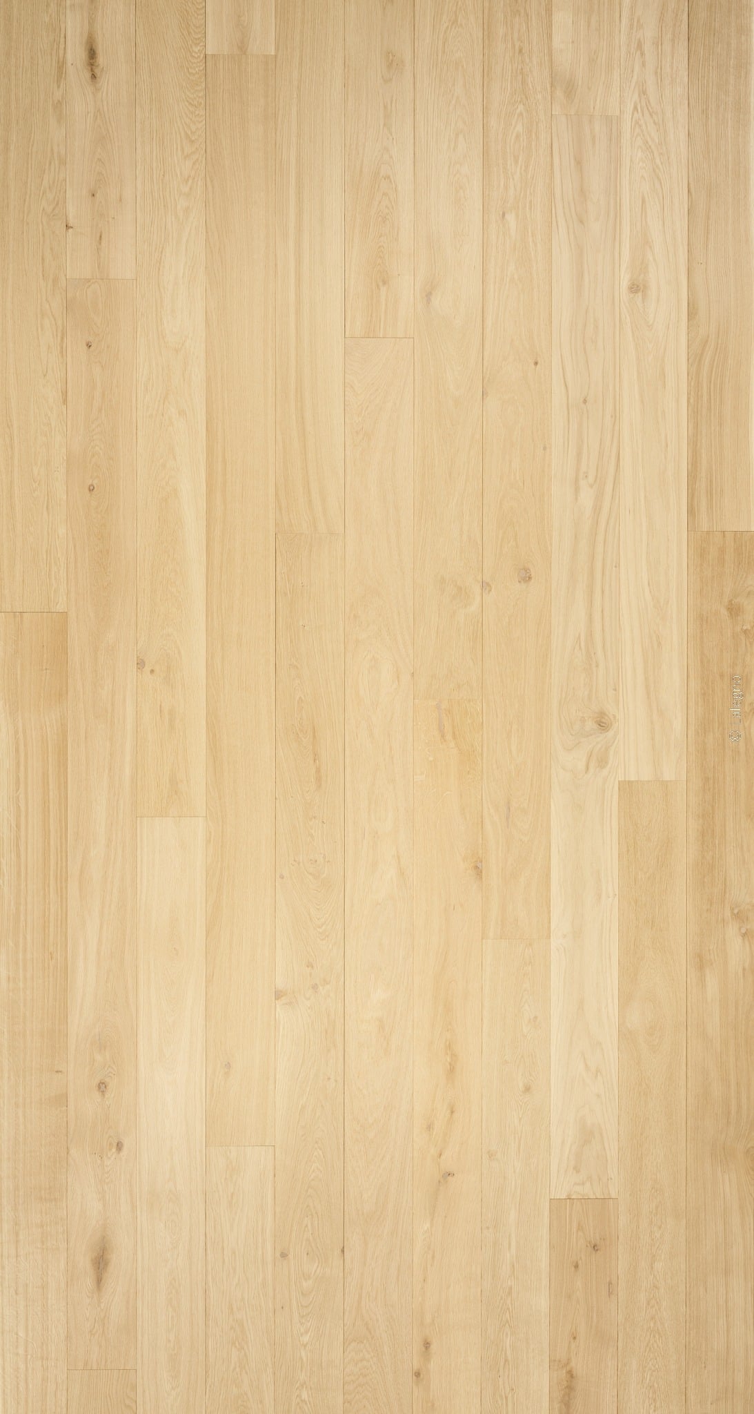 Parquet en chêne blond naturel. Texture détaillée des lames longues et étroites, installées aléatoirement pour un sol clair et moderne.