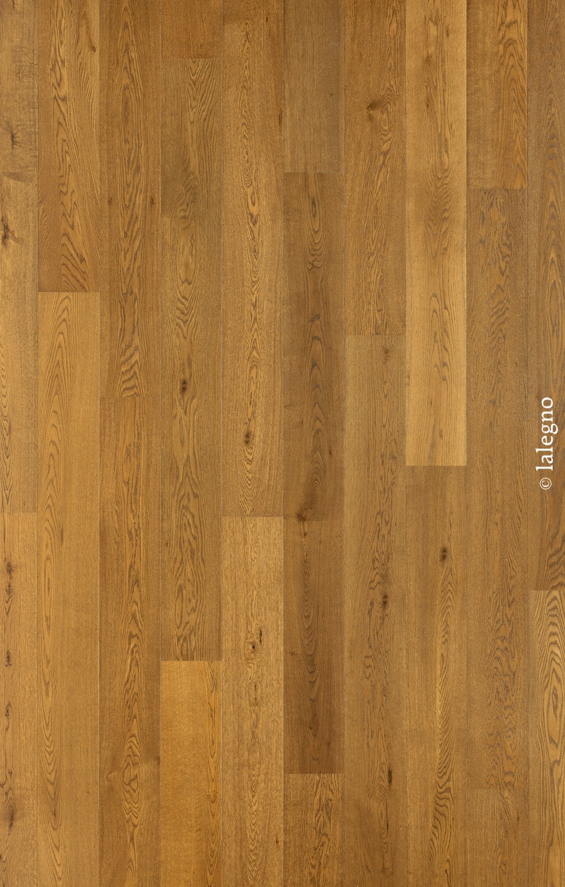 Parquet massif en planches longues de bois de chêne, teinte miel chaleureuse et grain foncé. Filigrane : © lalegno.