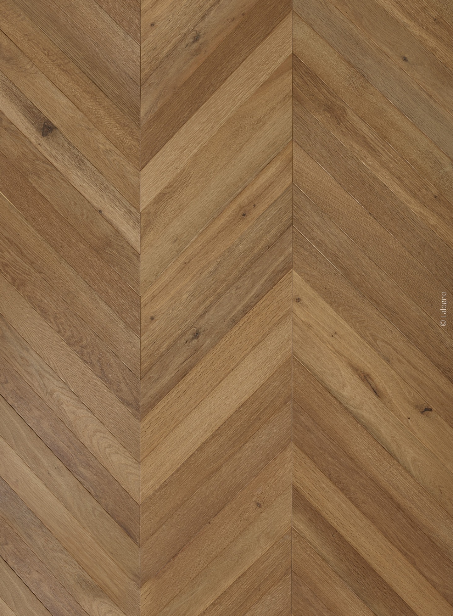 Parquet en bois de chêne clair à grain naturel posé en motif chevron. La finition mate met en valeur les variations de teinte. © lalegno.