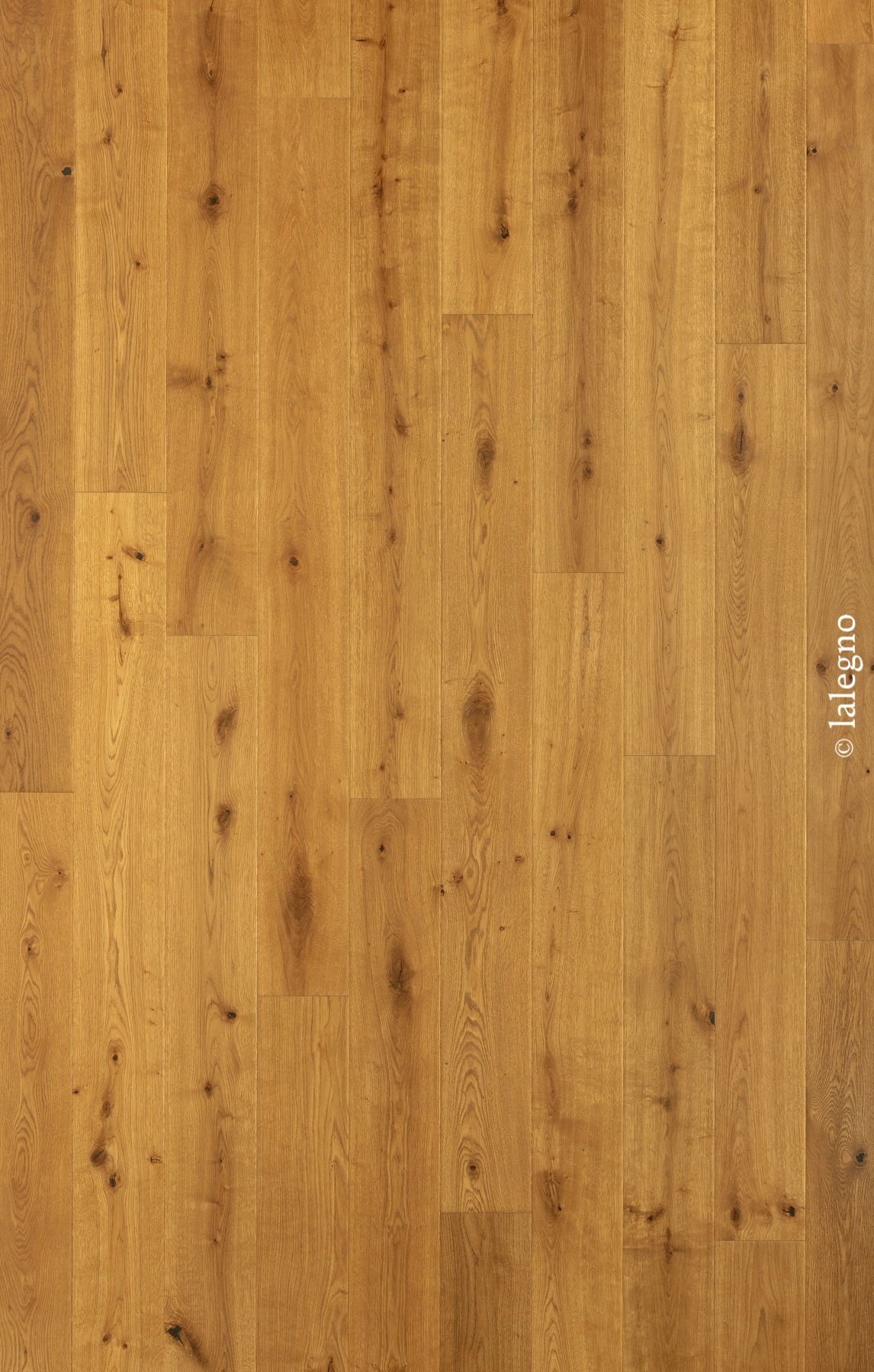 Parquet chêne miel rustique, lattes larges à nœuds foncés, grain naturel et couleur chaude.