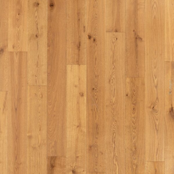 Texture de parquet en chêne massif naturel. Lattes longues de couleur miel doré, avec veinage riche et nœuds caractéristiques du bois.