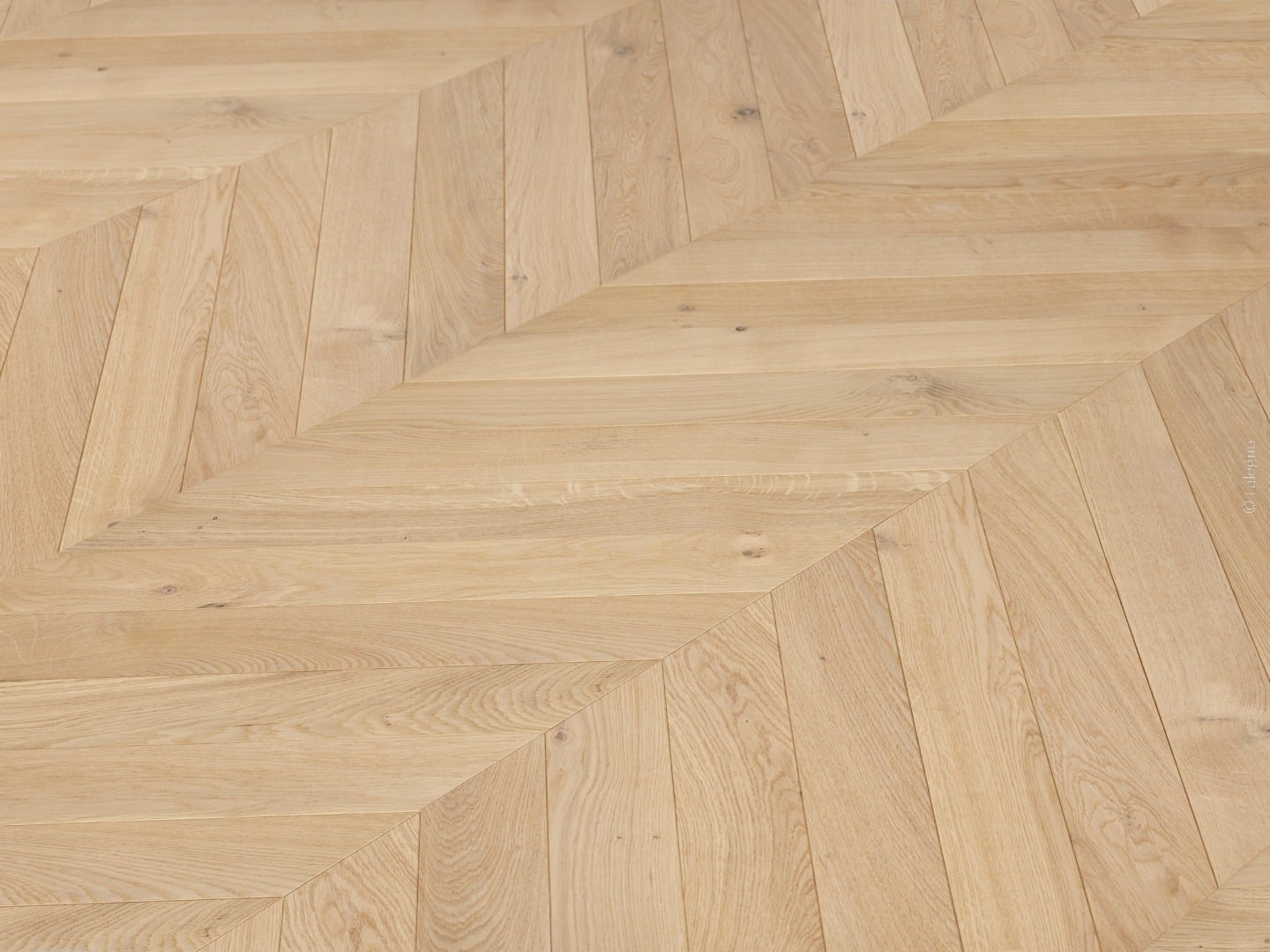 Sol en parquet de chêne clair à la finition naturelle. Pose en motif chevron accentuant les lignes diagonales et l'élégance du bois.