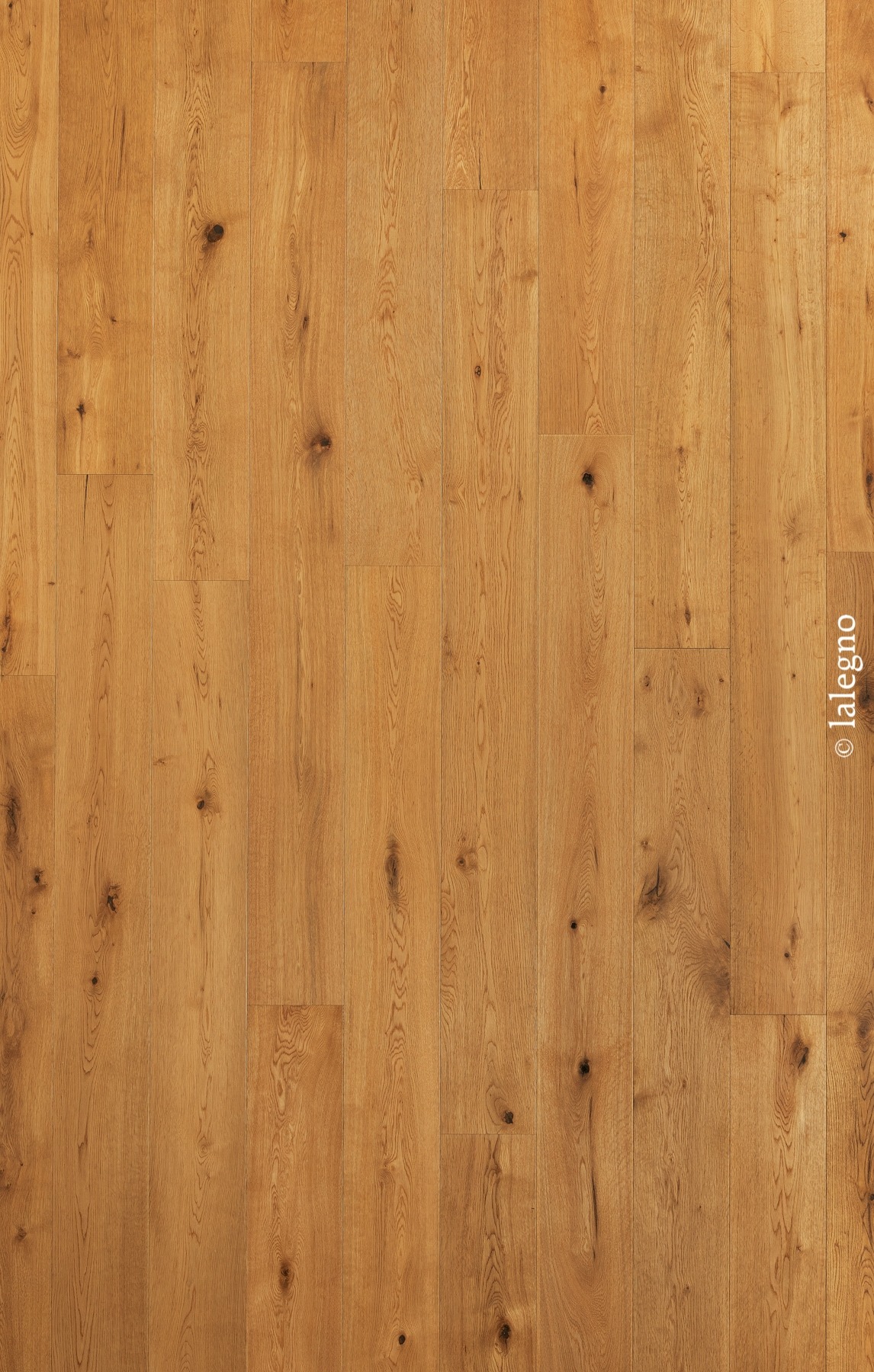 Plancher bois chêne rustique, couleur miel doré, avec nœuds marqués. Lattes verticales pour un revêtement naturel.